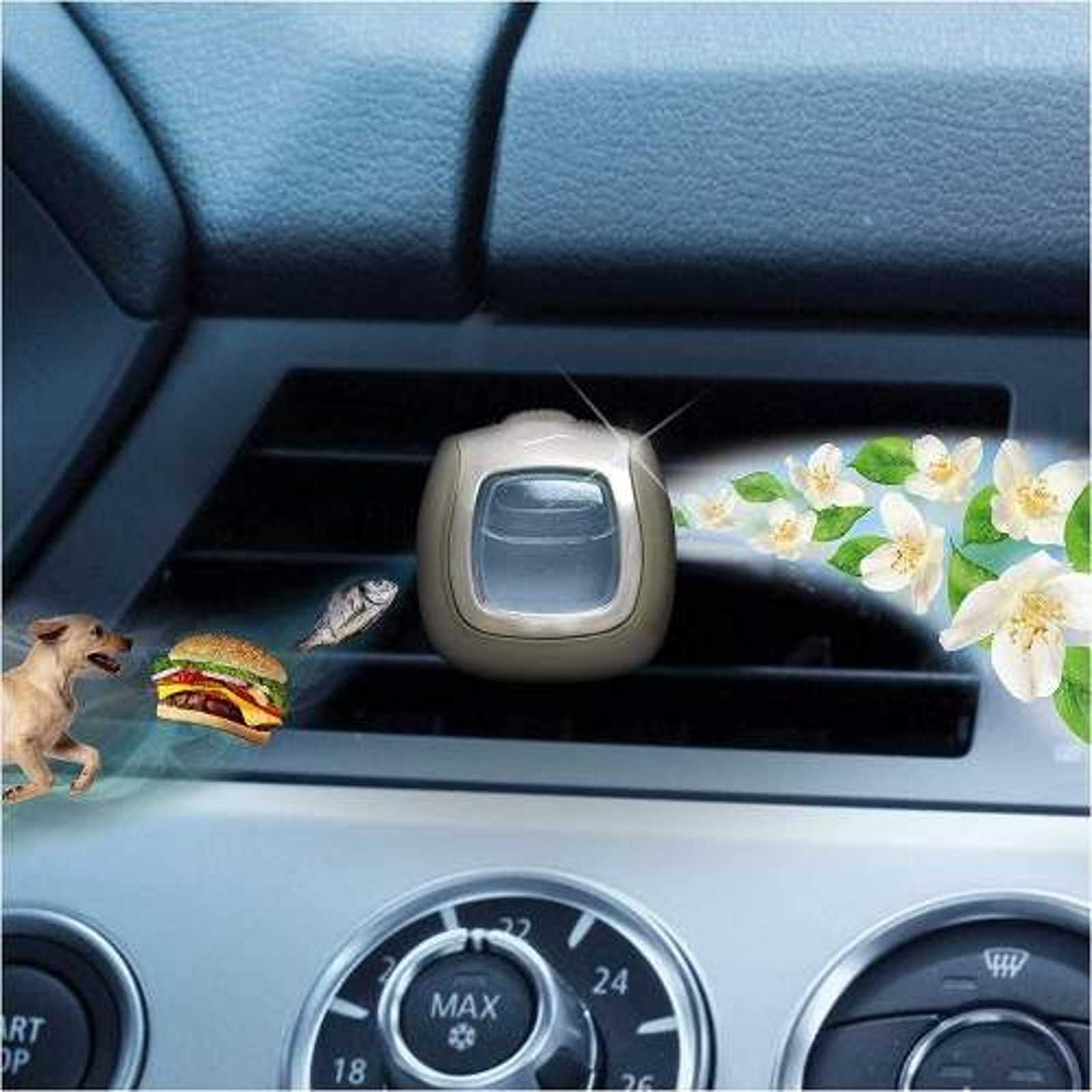 EWANTO_de__L13161__Febreze__66280yStWfX3SVA2T