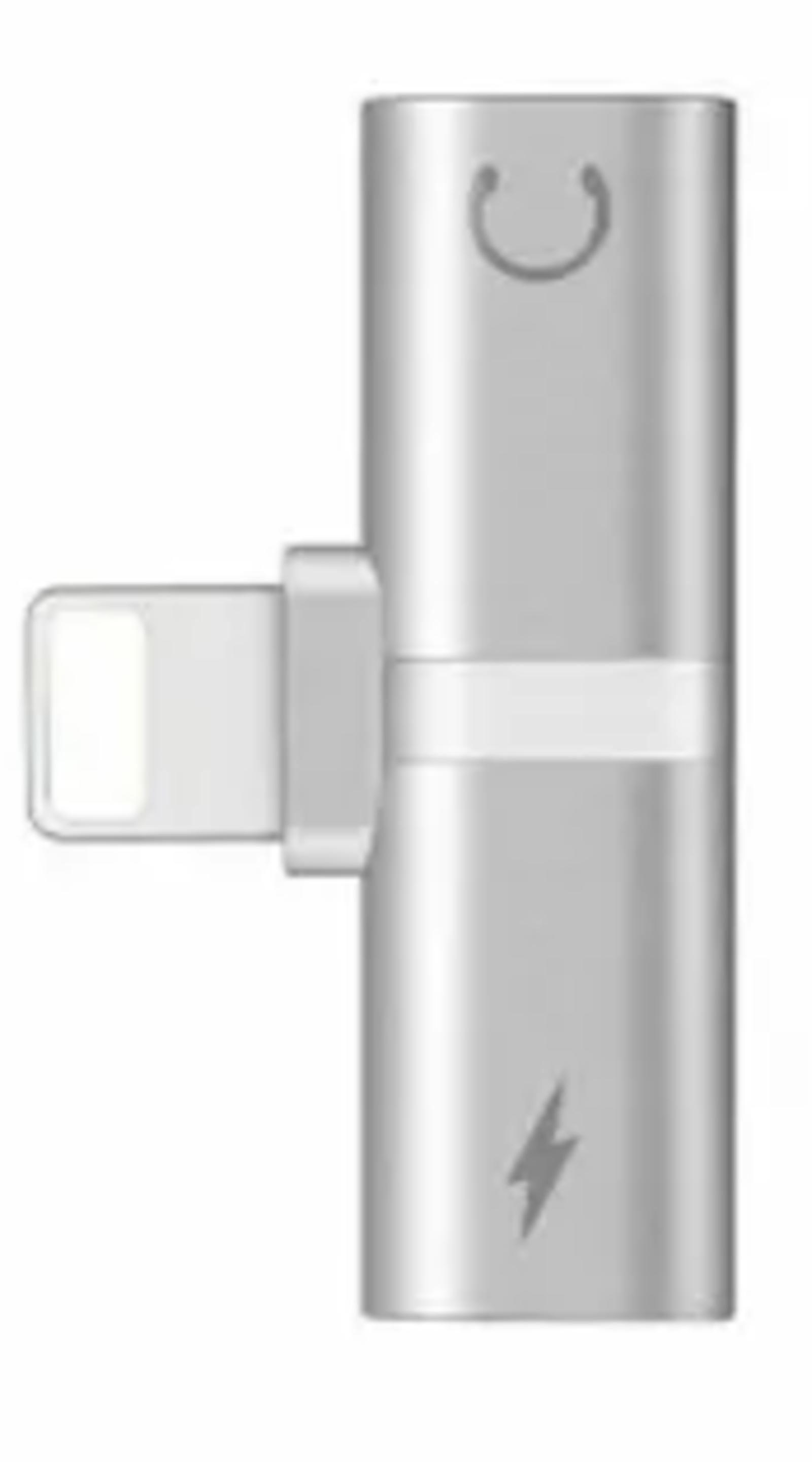 EWANTO für Apple iPhone 5 bis 13 X Xr Xs Max Ipad (m) auf für Apple iPhone 5 bis 13 X Xr Xs Max Ipad Ladeadapter (w) und für Apple iPhone 5 bis 13 X Xr Xs Max Ipad Audio silber Stecker (w) Splitter zum Musik Hören und Aufladen gleichzeitig Charger LC