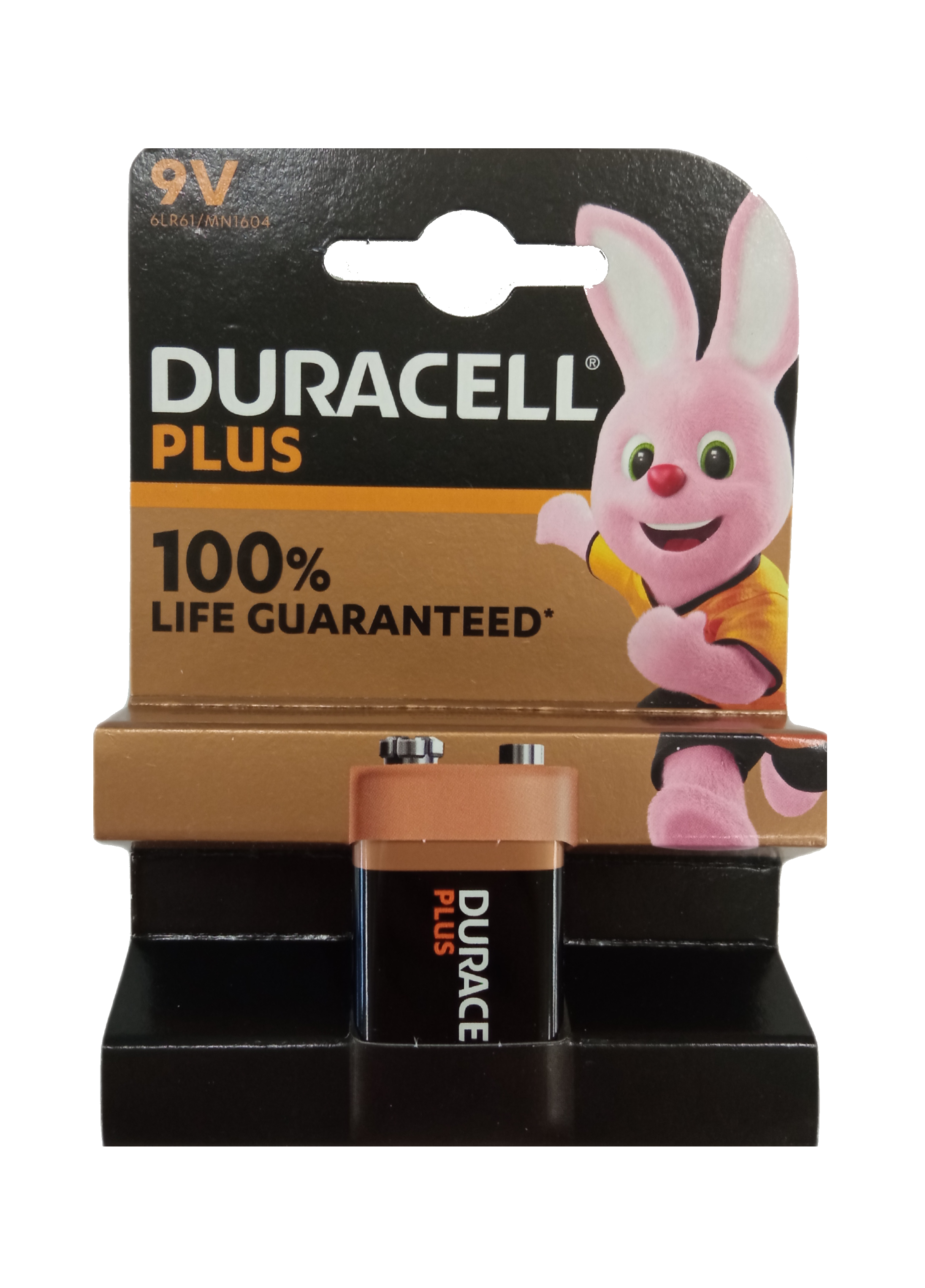 EWANTO_de__L4659__Duracell_6LP3146_5585VlwAg9xIaTYsv