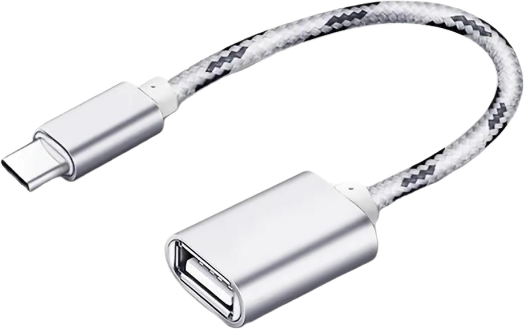 EWANTO 20 cm USB-A (w) auf USB-C (m) Silber geflochten Adapter Adapterkabel Ladekabel Smartphones Handys Tablets für Samsung Xiaomi Pixel Android Smartphones Digital Kamera Computer Universelle Kompatibilität Datenübertragung Kompakt Hochwertigl MKNO-